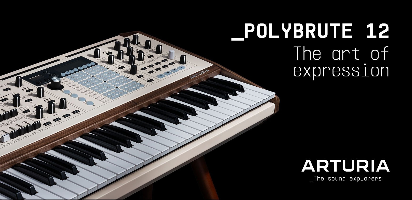 <div>Arturia<br><strong>Polybrute 12</strong><br>The art of expression</div>