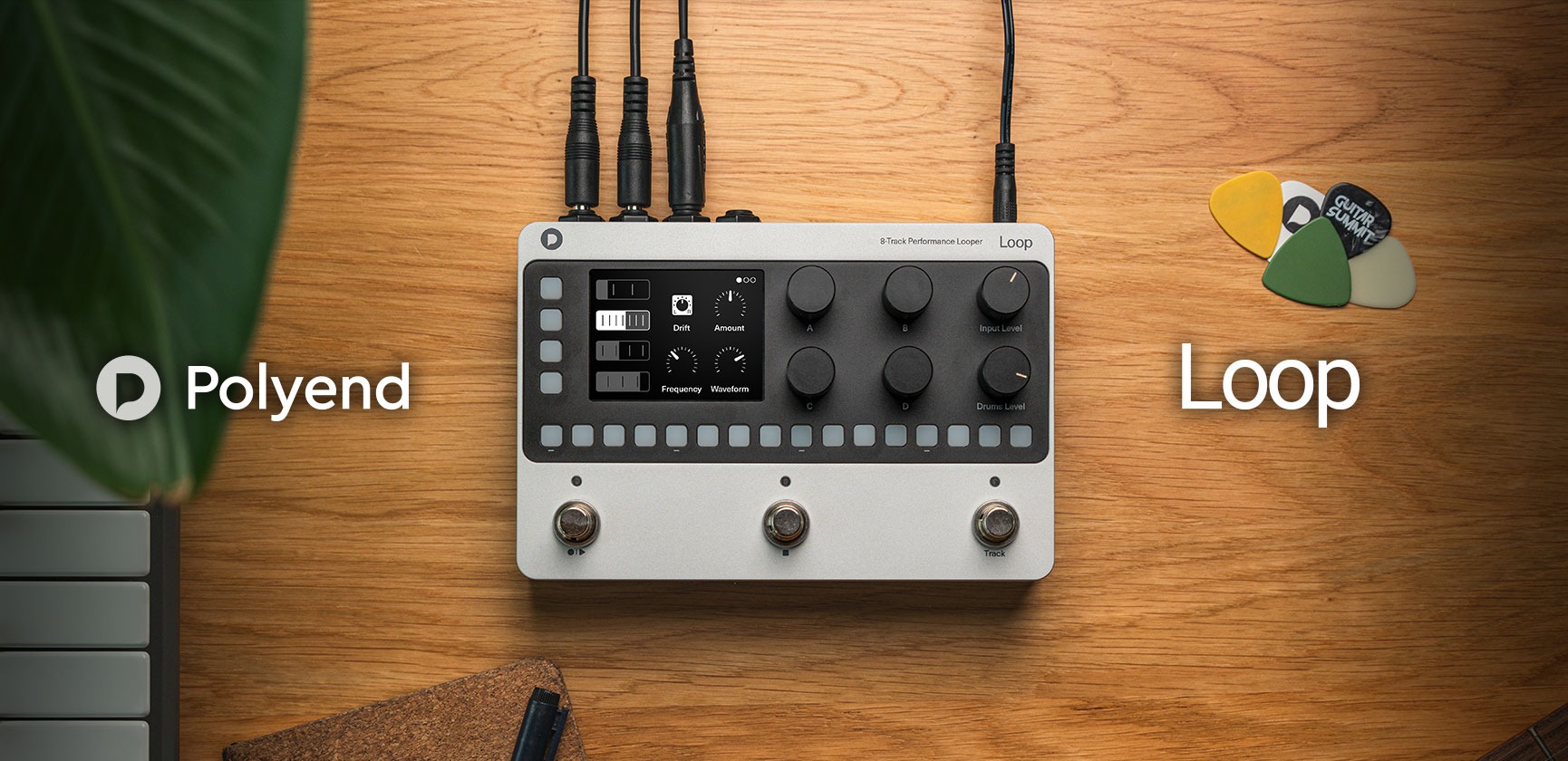 <div>Polyend<br><strong>LOOP</strong><br>Multitrack Looper Pedal met drumsequencing en FX</div>